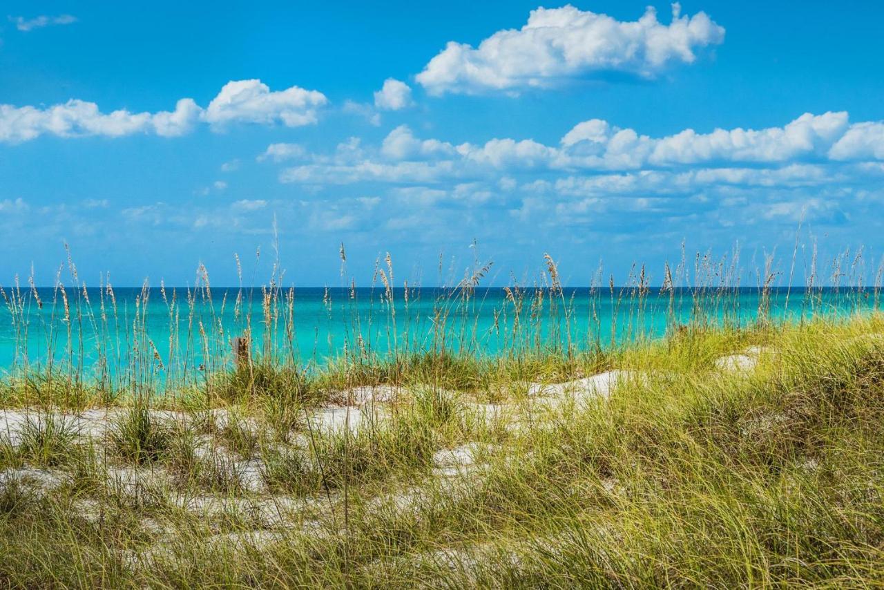 Aparthotel Calypso 2-504 West Panama City Beach Zewnętrze zdjęcie